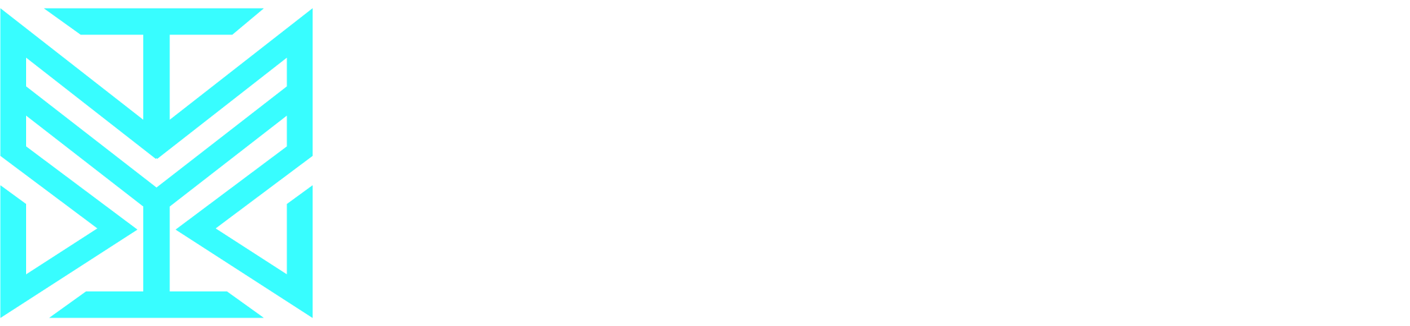 Machine Vision Intelligence Logo